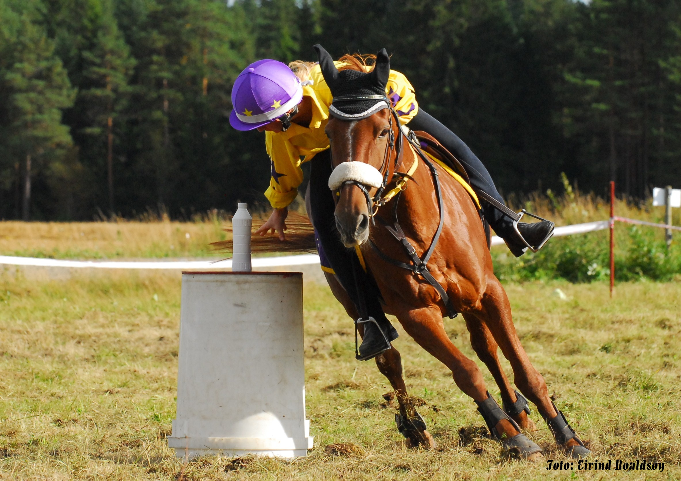 Galopp i snøen